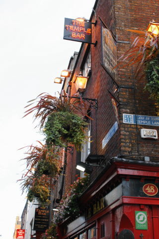 DSC05534.JPG