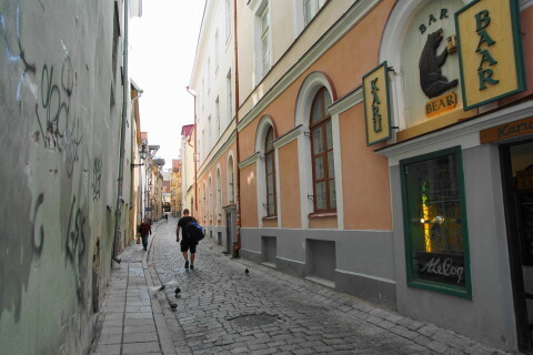 DSC05612.JPG