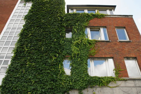 DSC05763N.JPG