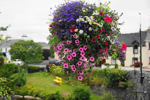 DSC06056.JPG