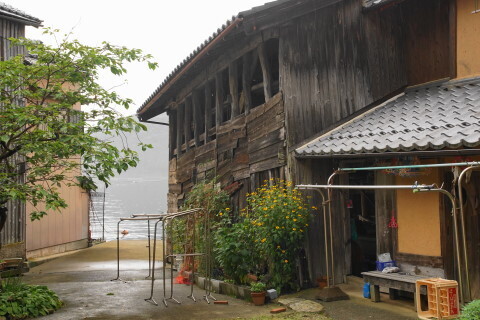 DSC06332.JPG