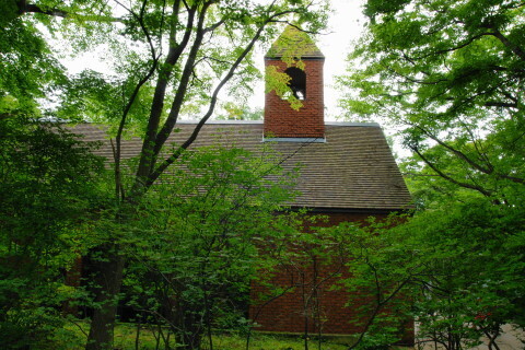 DSC06353.JPG