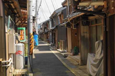 DSC06749.JPG