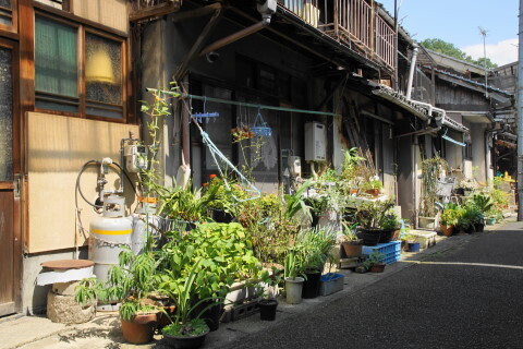 DSC06759.JPG