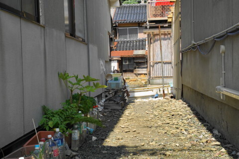 DSC06768.JPG