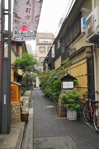 DSC06969.JPG