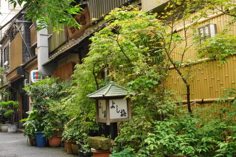 DSC06971.JPG
