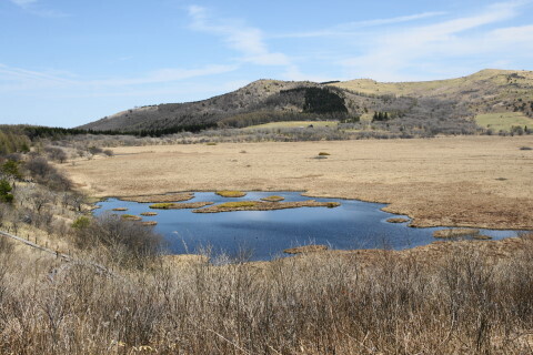 DSC06986ND.JPG