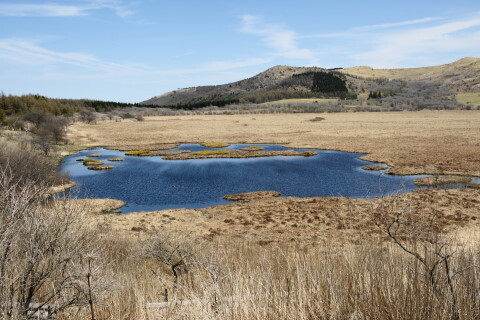 DSC06990ND.JPG