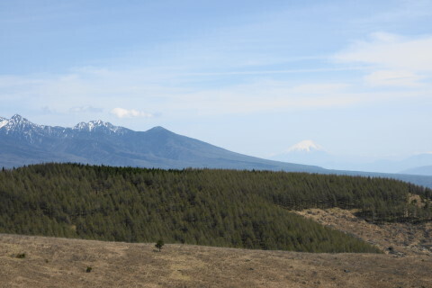 DSC07008ND.JPG