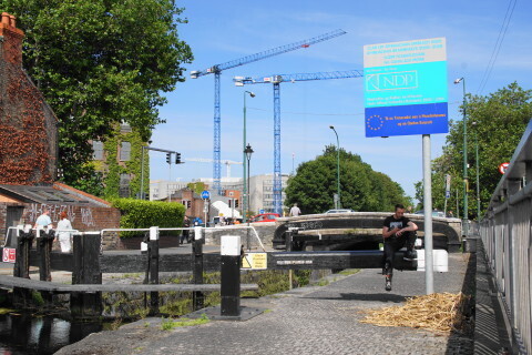 DSC07013.JPG