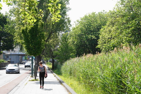DSC07022.JPG