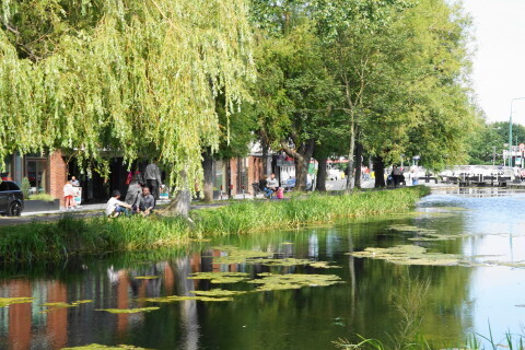 DSC07041.JPG