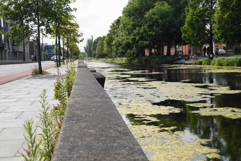 DSC07052.JPG