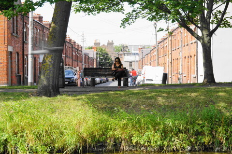 DSC07054.JPG