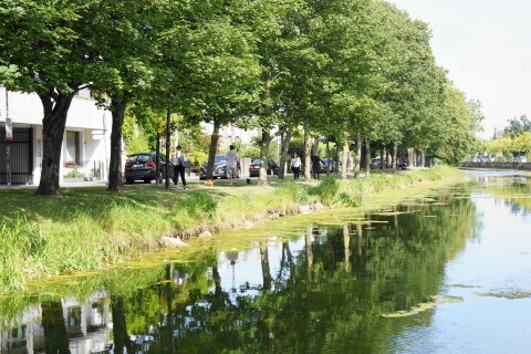 DSC07065.JPG