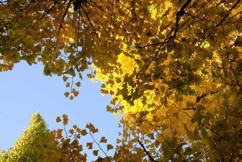 DSC07142.jpg