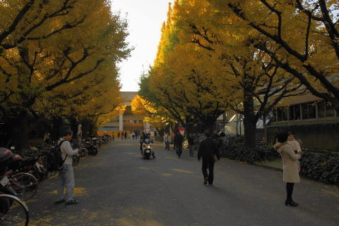 DSC07152.jpg