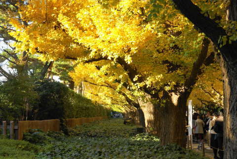 DSC07163.jpg