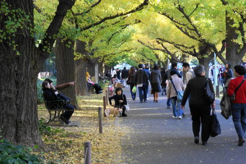 DSC07245.jpg