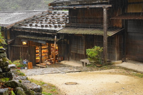 DSC07286.JPG