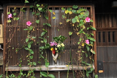 DSC07291.JPG