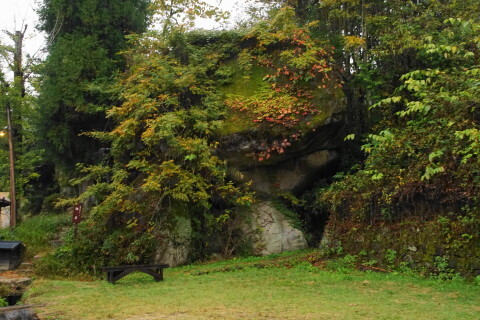 DSC07327.JPG