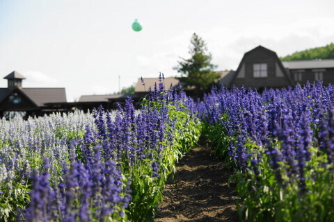 DSC07334ND.JPG