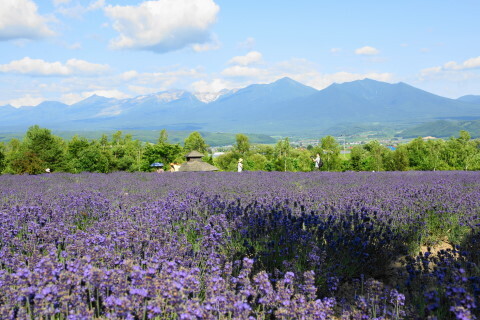 DSC07343ND.JPG