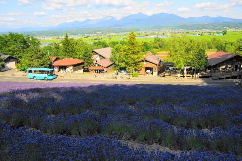DSC07368ND.JPG