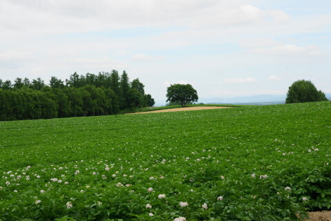 DSC07503ND.JPG
