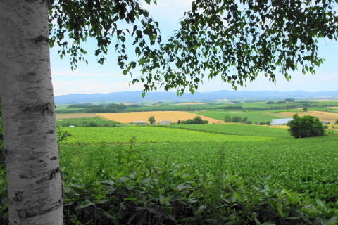 DSC07511ND.JPG