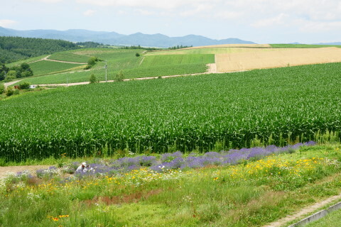 DSC07531ND.JPG