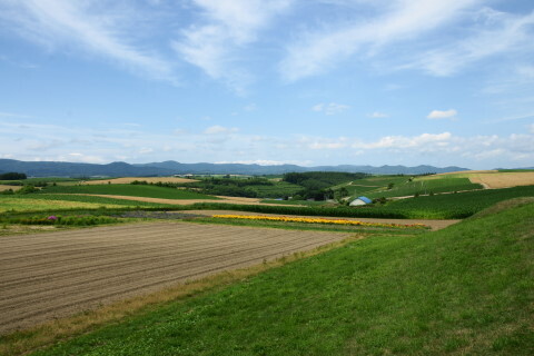 DSC07535ND.JPG