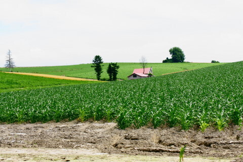 DSC07551ND.JPG