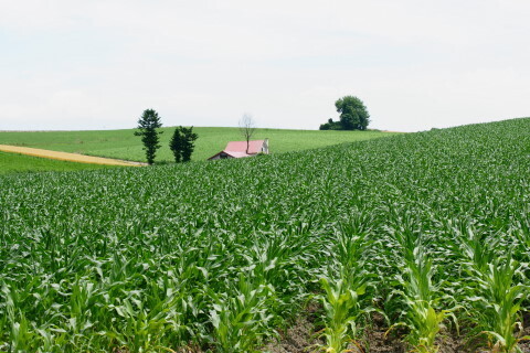 DSC07554ND.JPG