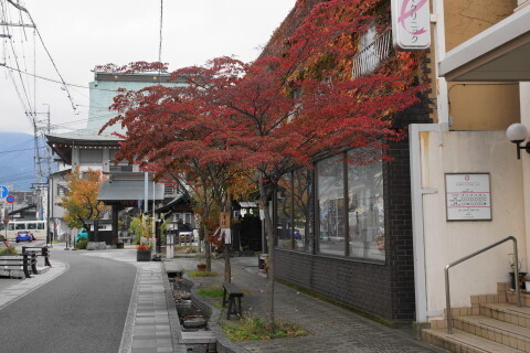 DSC07606.JPG