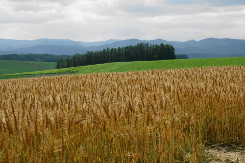 DSC07618ND.JPG