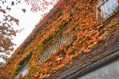 DSC07622.JPG