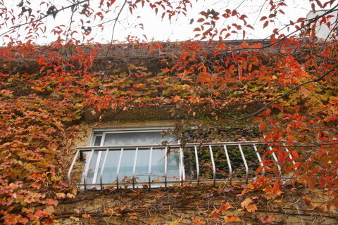 DSC07623.JPG