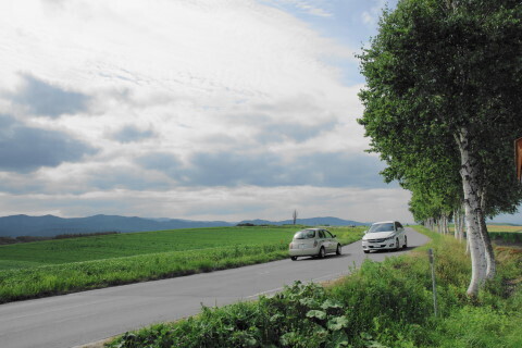 DSC07642ND.JPG