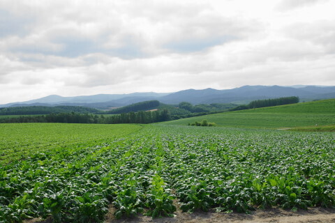 DSC07647ND.JPG