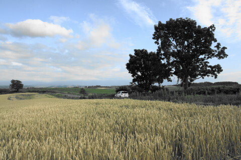 DSC07658ND.JPG