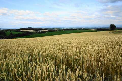 DSC07660ND.JPG