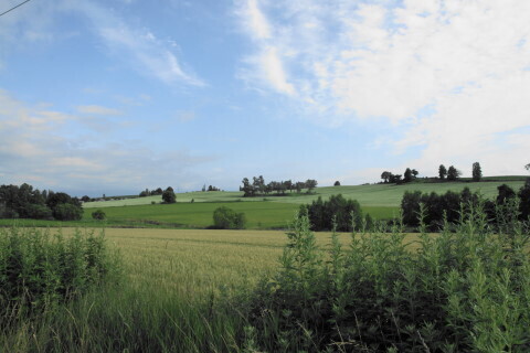 DSC07667ND.JPG