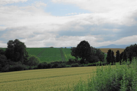 DSC07671ND.JPG