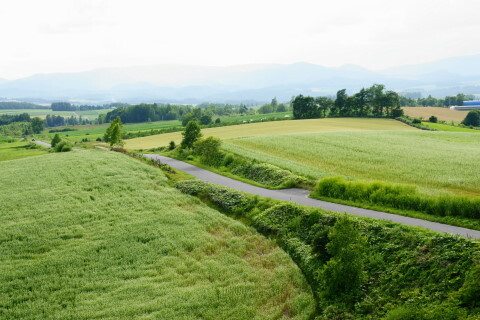 DSC07679ND.JPG