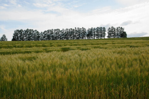 DSC07685ND.JPG