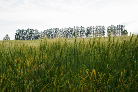 DSC07693ND.JPG