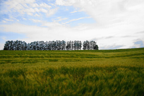 DSC07698ND.JPG